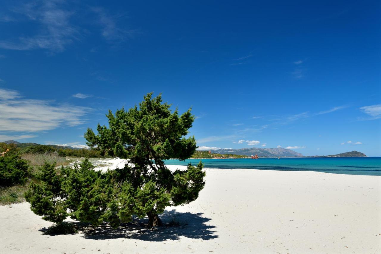 Casa Vacanze Il Mirto 巴里萨尔多 外观 照片